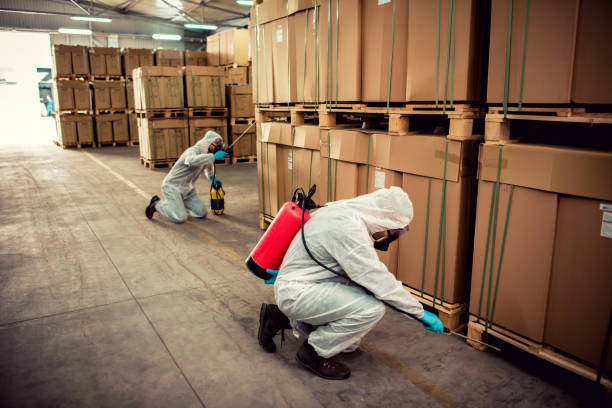 Best Pest Control Near Me in Irvine, CA