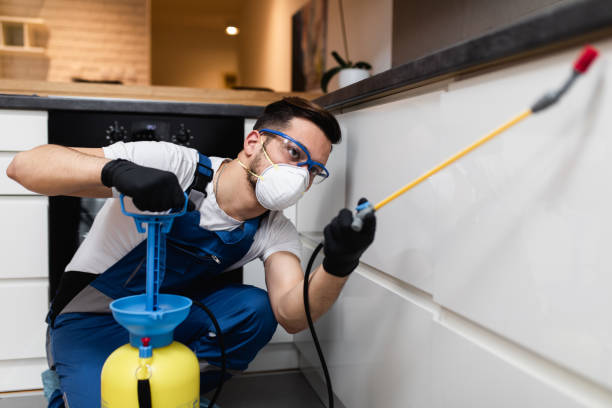 Best Pest Control Near Me  in Irvine, CA