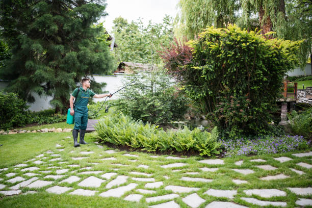Best Residential Pest Control  in Irvine, CA