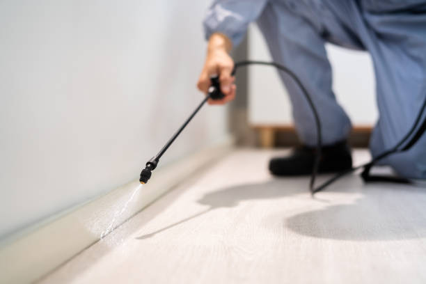Professional Pest Control in Irvine, CA
