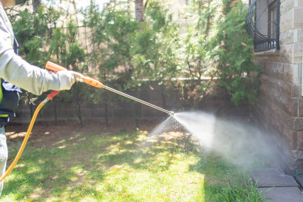 Best Bed Bug Extermination  in Irvine, CA