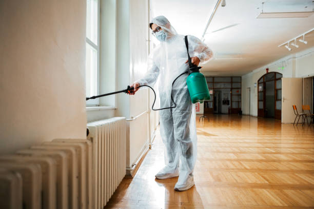 Best Affordable Pest Control Services  in Irvine, CA