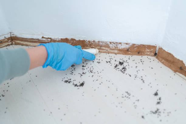 Best Commercial Pest Control Services  in Irvine, CA