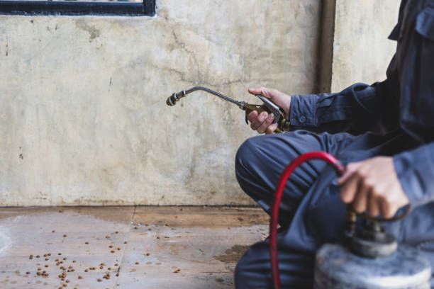 Best Pest Removal Services  in Irvine, CA